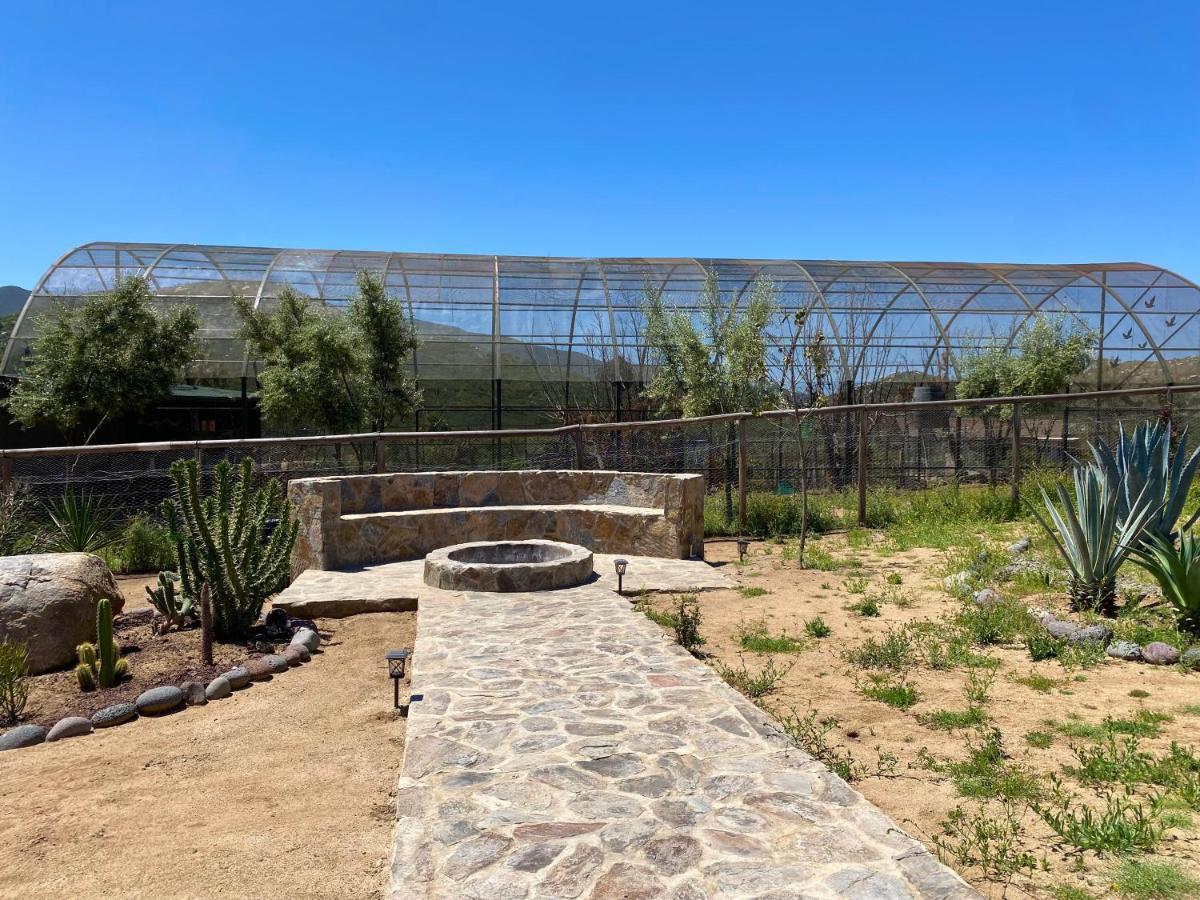 Coquenas Del Valle Valle de Guadalupe Extérieur photo