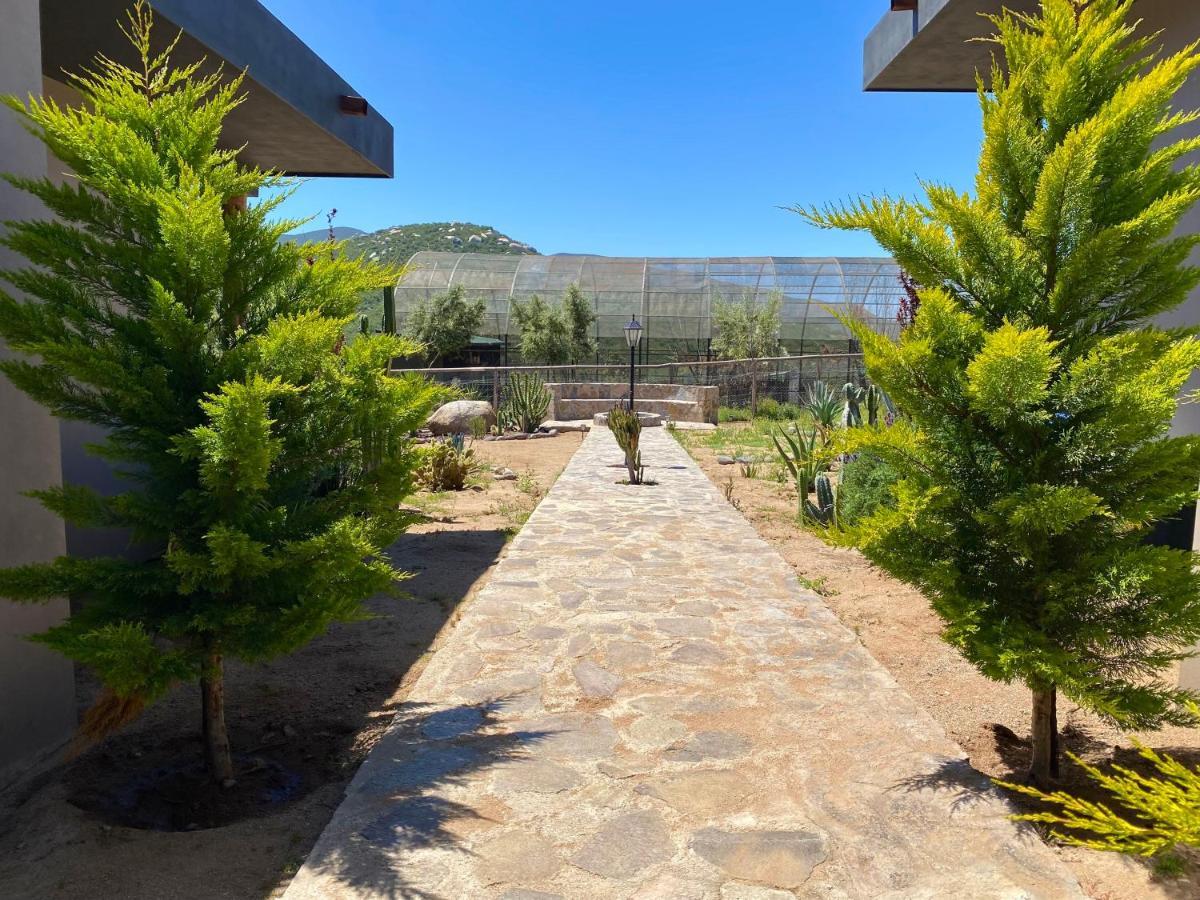 Coquenas Del Valle Valle de Guadalupe Extérieur photo
